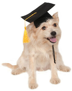 dog_graduation